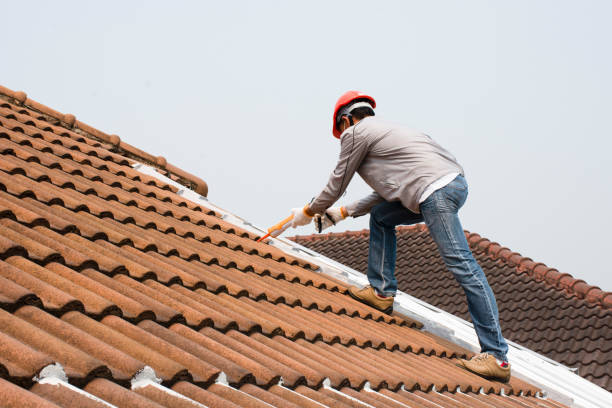 Best Roof Leak Repair  in Sterling City, TX